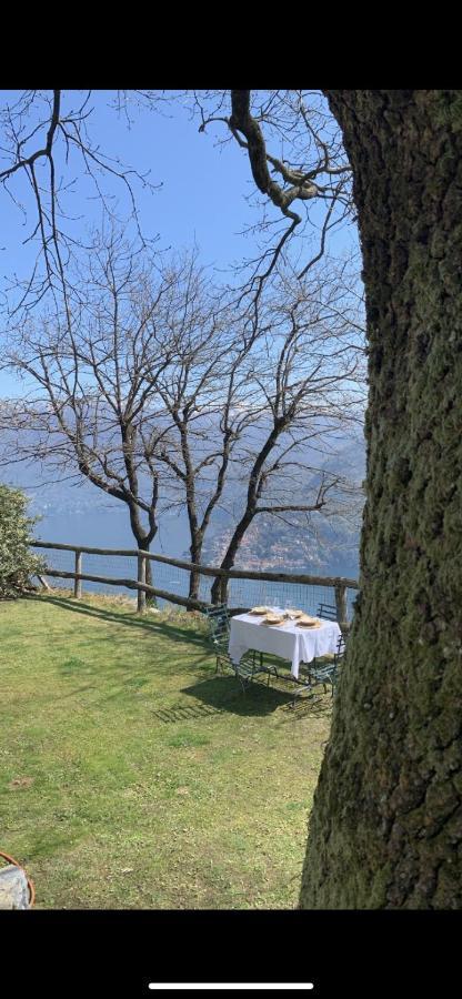 Il Riccio Appartamento Cernobbio Exterior photo
