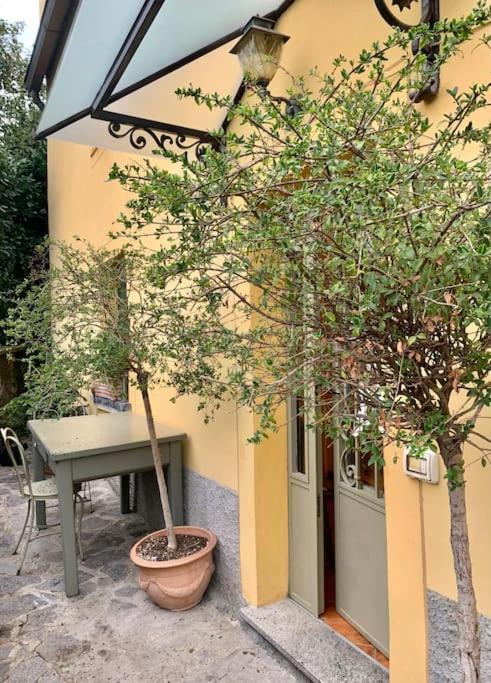 Il Riccio Appartamento Cernobbio Exterior photo